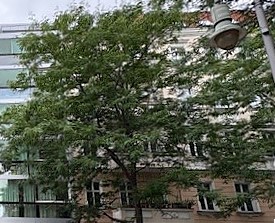 Wohn- und Geschäftshaus mit Baureserve in Berlin-Prenzlauer Berg