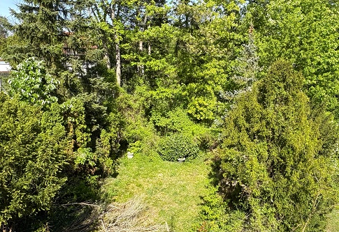 Exklusivverkaufsauftrag! Sanierungsbedürftige 20er-Jahre- Doppelhaushälfte am Thielpark in  Berlin-Dahlem